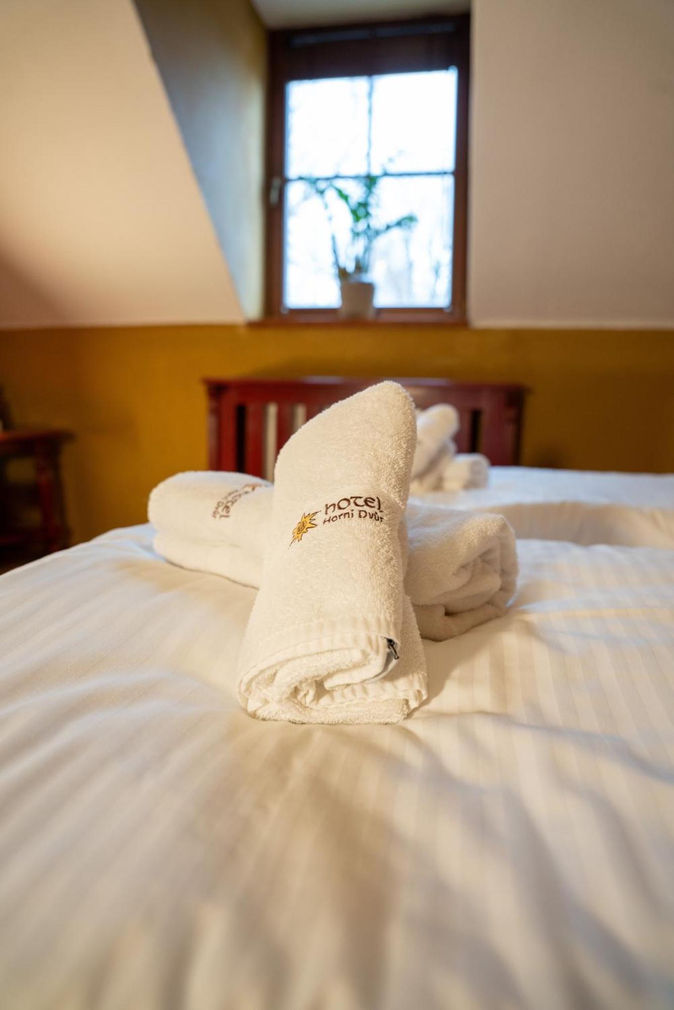 Hotel Horni Dvur ノヴェー・ムニェスト・ナ・モラヴィエ エクステリア 写真